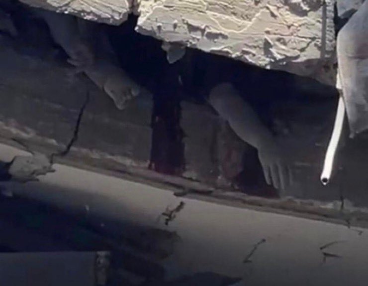 داوود tweet media