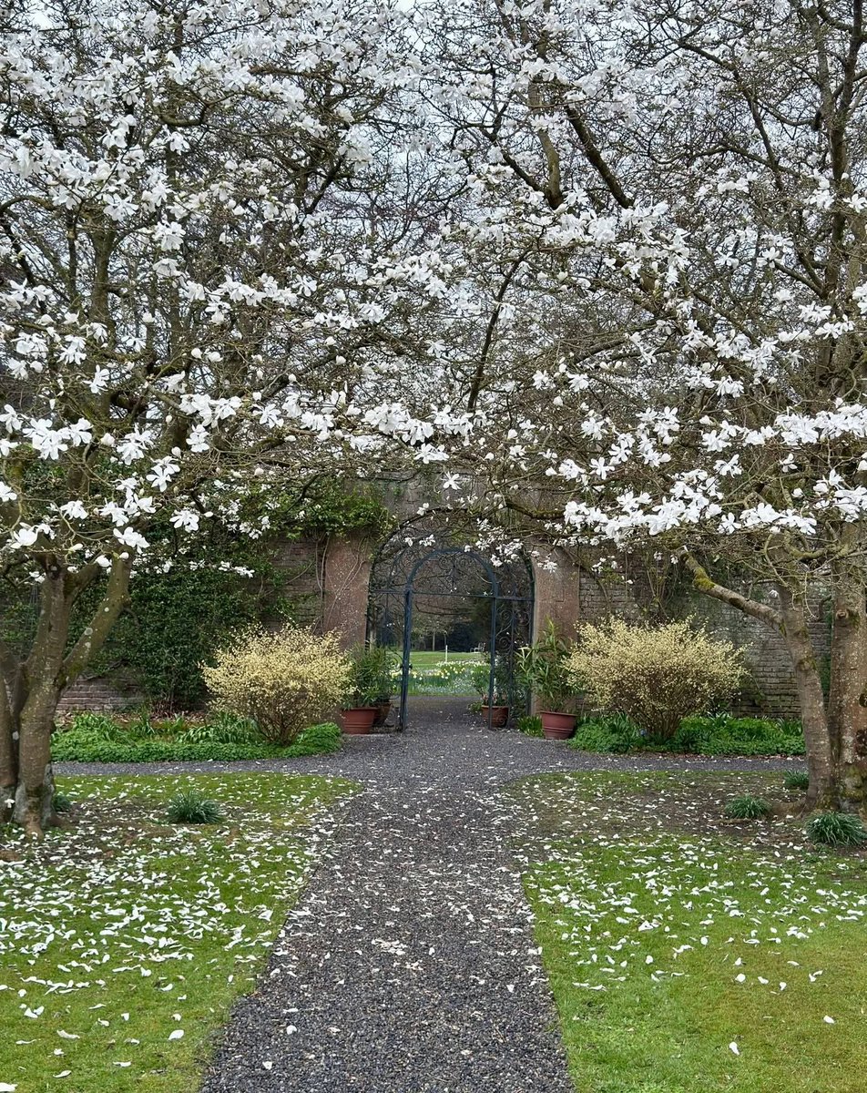 ThisIsIreland3's tweet image. 📍The beautiful Phoenix Park in Dublin is blooming 🌳☘️ 

Such a lovely place for a stroll at this time of the year. The Park is open 24 hours a day, 7 days a week, all year round &amp;amp; there is no admission fee 🌳💚

📸 Monica P. Photography

#Dublin #Ireland #Phoenixpark #Nature