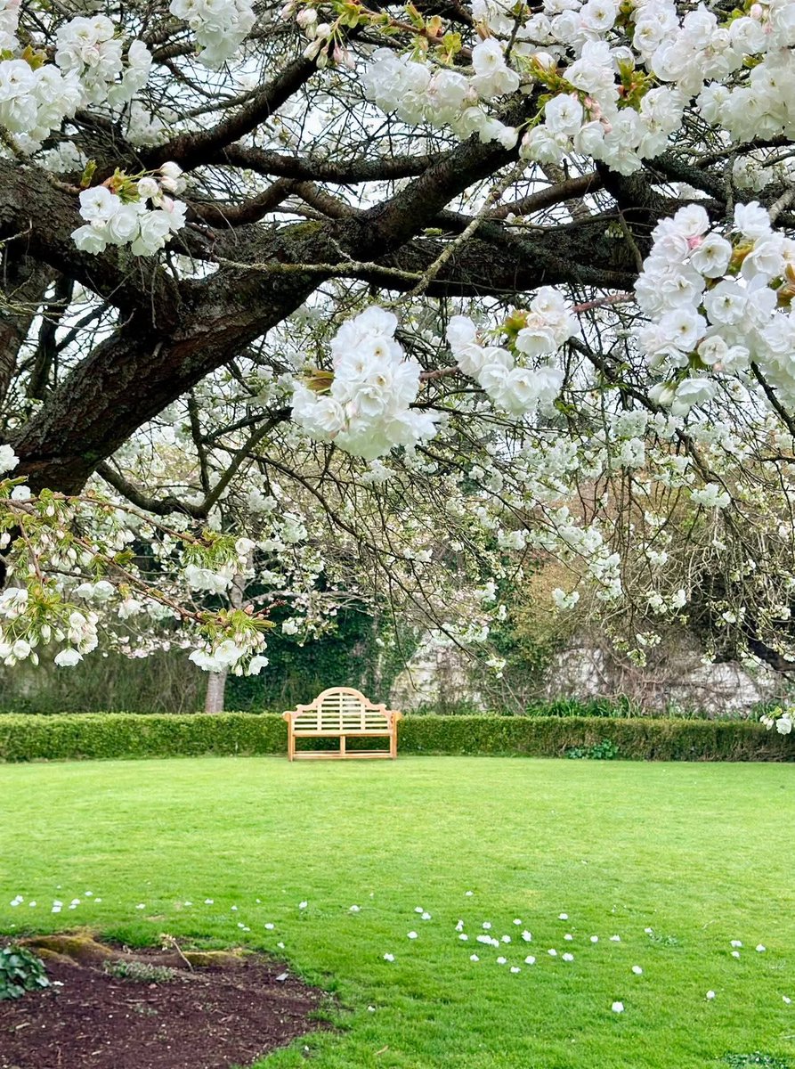 ThisIsIreland3's tweet image. 📍The beautiful Phoenix Park in Dublin is blooming 🌳☘️ 

Such a lovely place for a stroll at this time of the year. The Park is open 24 hours a day, 7 days a week, all year round &amp;amp; there is no admission fee 🌳💚

📸 Monica P. Photography

#Dublin #Ireland #Phoenixpark #Nature