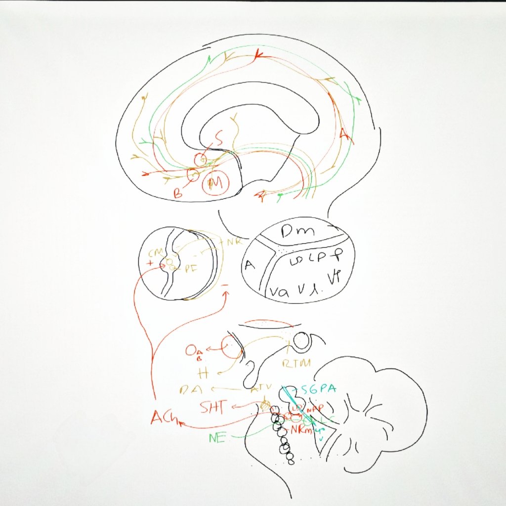 Jesus Ramirez-Bermudez tweet media