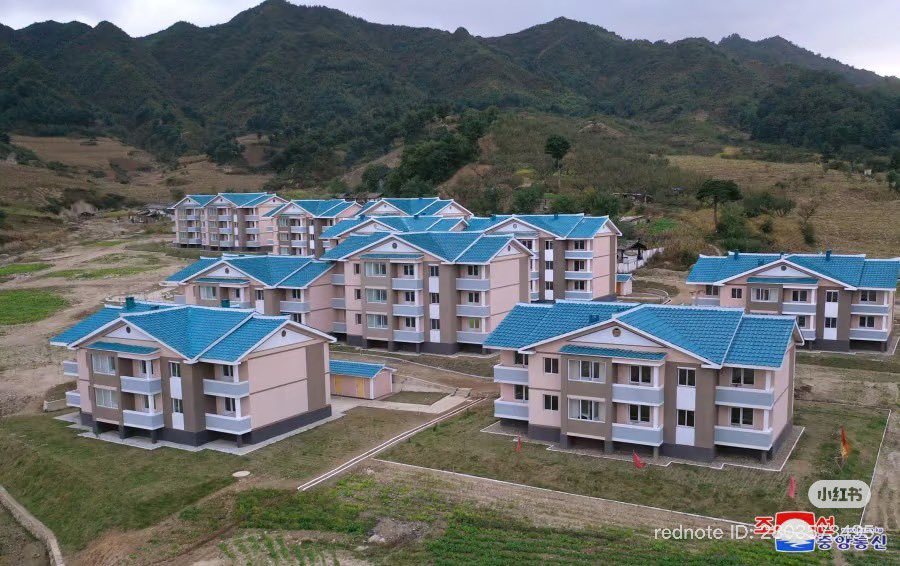 TheSystemDaily tweet media