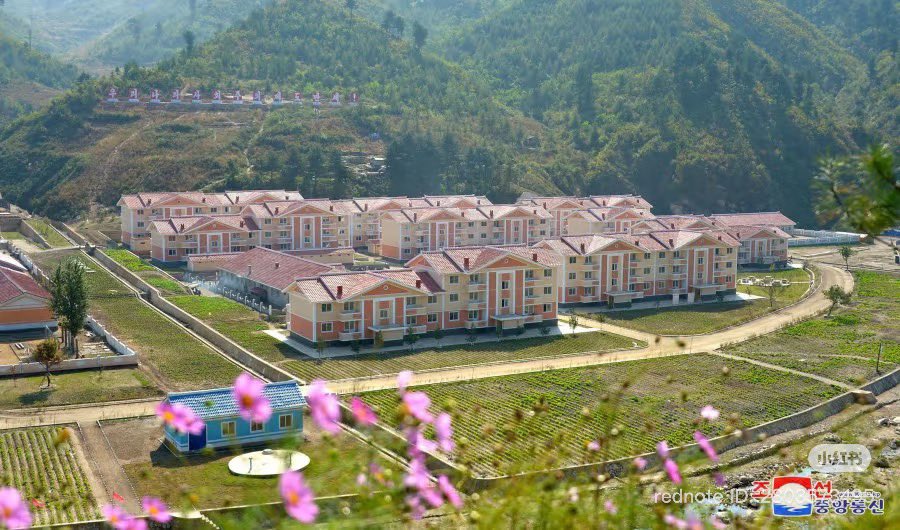 TheSystemDaily tweet media