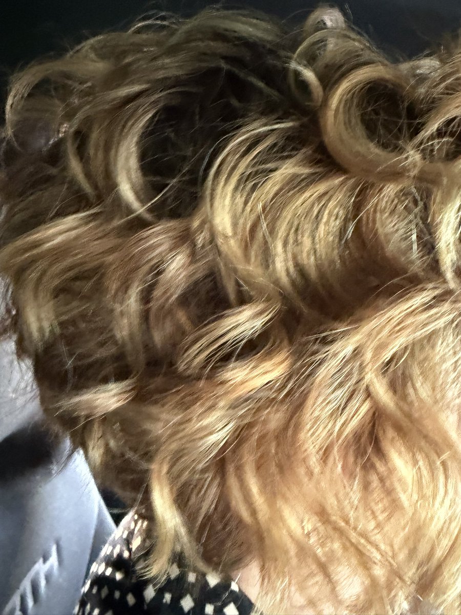 giovanna fossa (alias Lilibet) tweet media