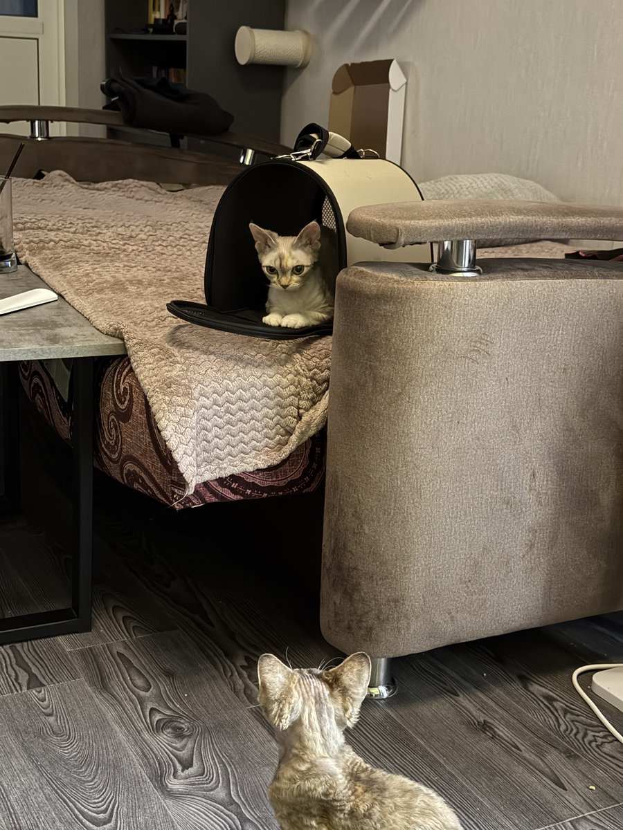 Юрий tweet media