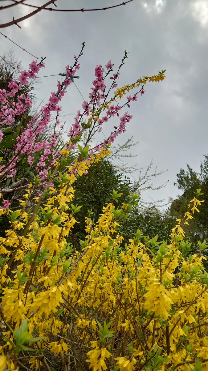 トキトさん tweet media