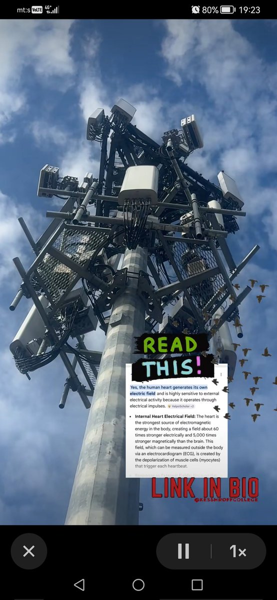 Humanbydesign3's tweet image. #5G #6G ☠☠☠☠☠☠