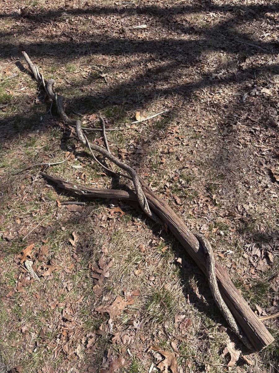 Sclimbo 💪🧭【 SVA 】 tweet media