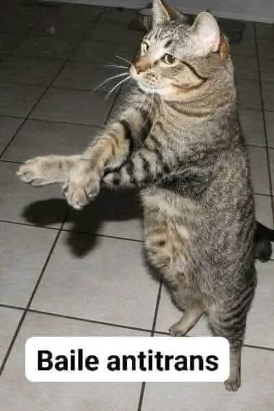 Radical Edward tweet media