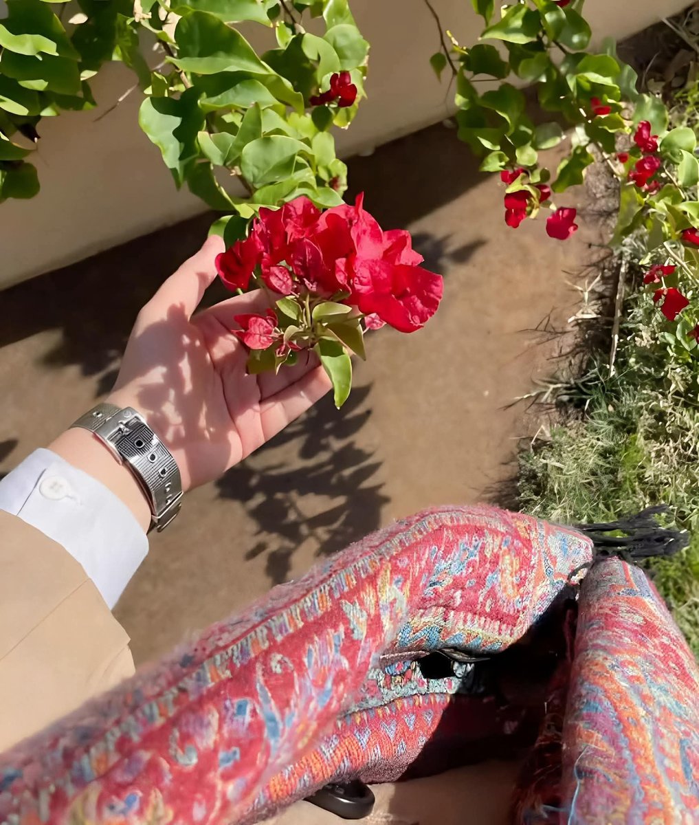 𝘼𝙎𝙈𝘼𝘼💎 tweet media