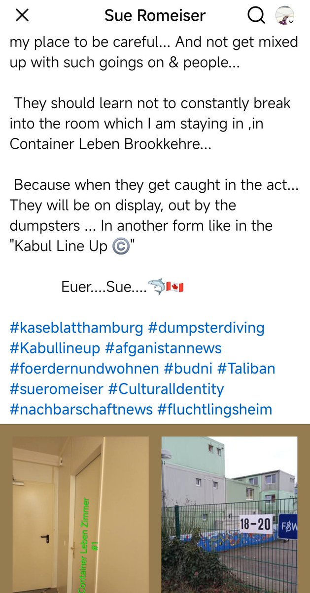 Sue ©️ tweet media