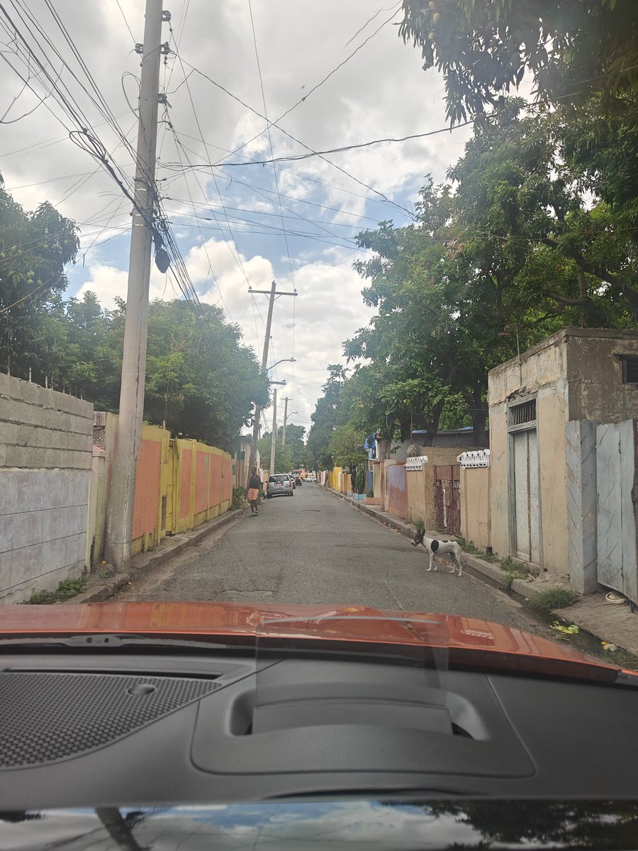 Ne Regrette Rien tweet media