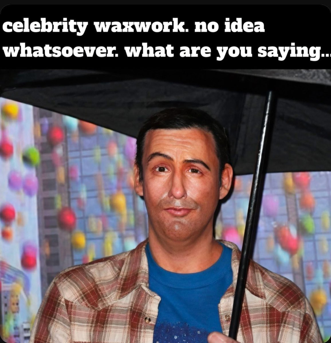 Peter Van Der Schans tweet media