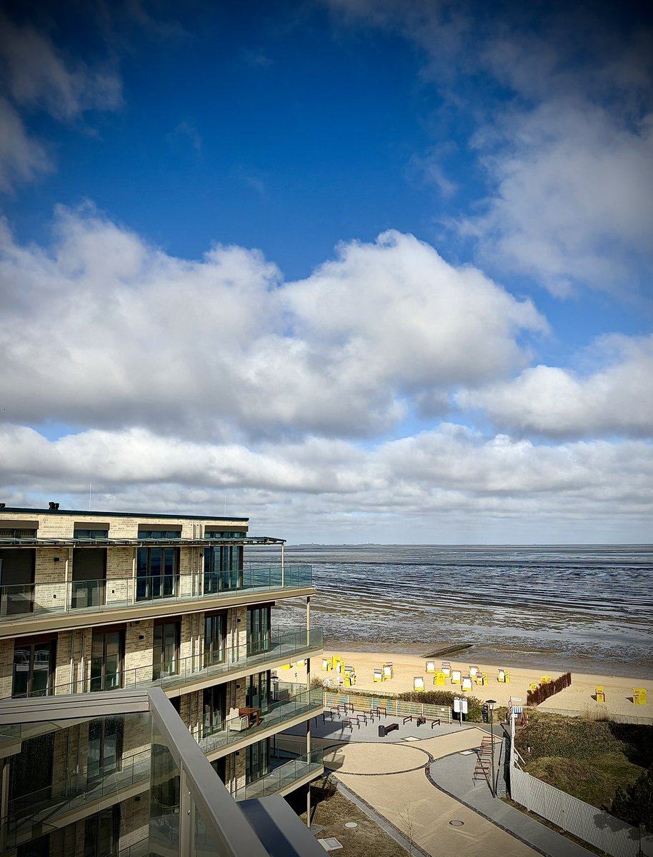 Stahlratte 🐀 tweet media