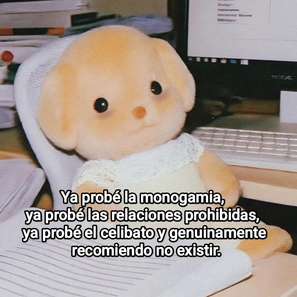 Cap Briagowsky tweet media