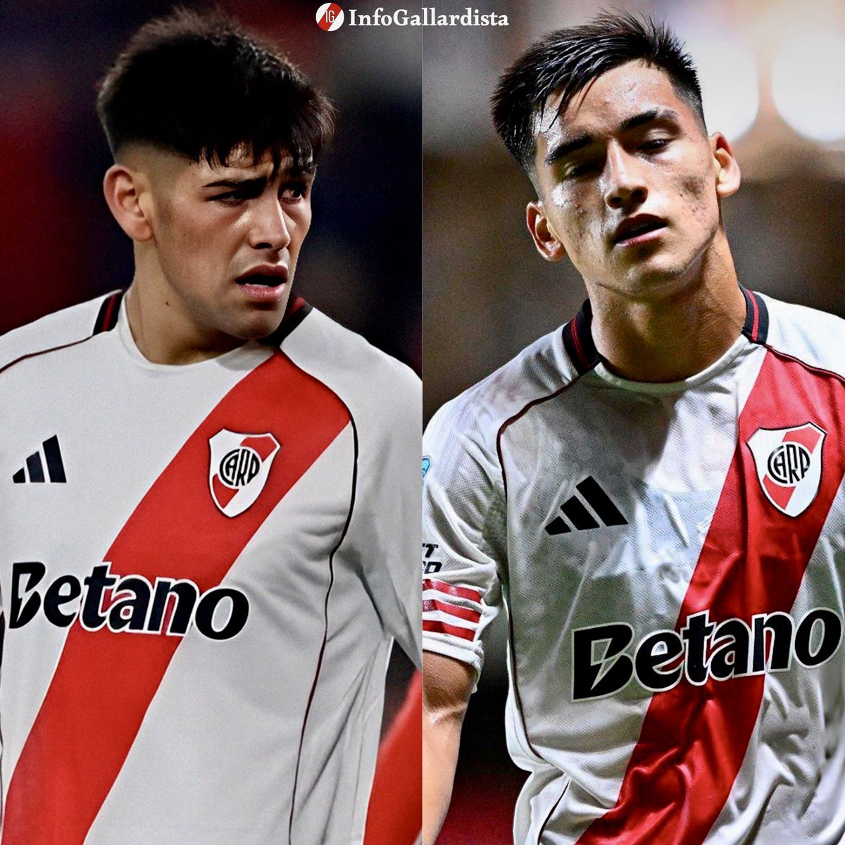 Info Gallardista tweet media