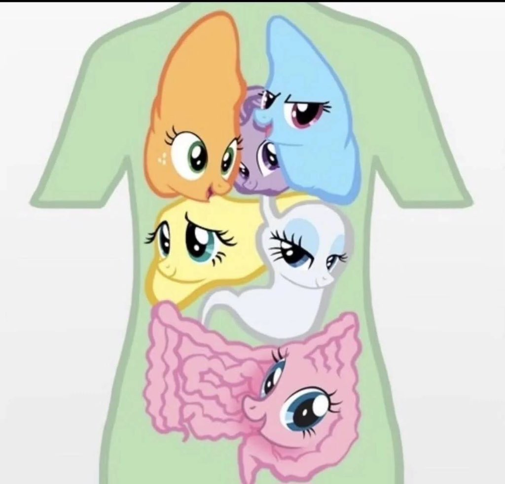 Birdie🇮🇳 tweet media