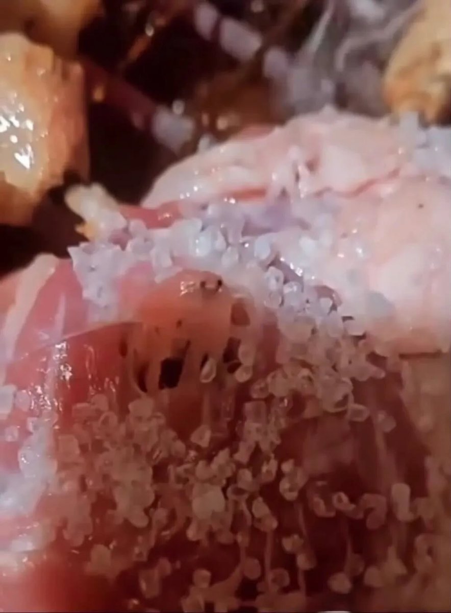 athi🧸 tweet media