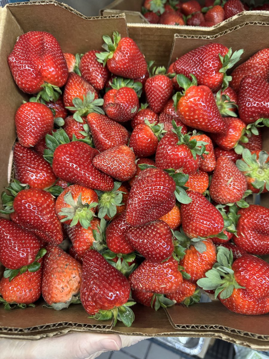 MBS Child Nutrition tweet media