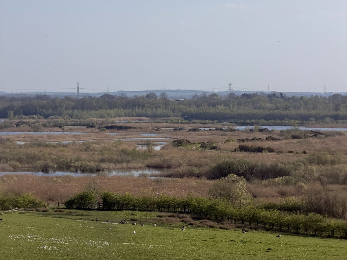 rly cool girl tweet media