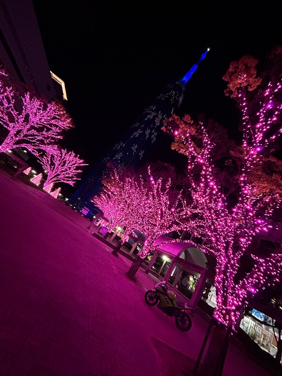 ペテン師 tweet media