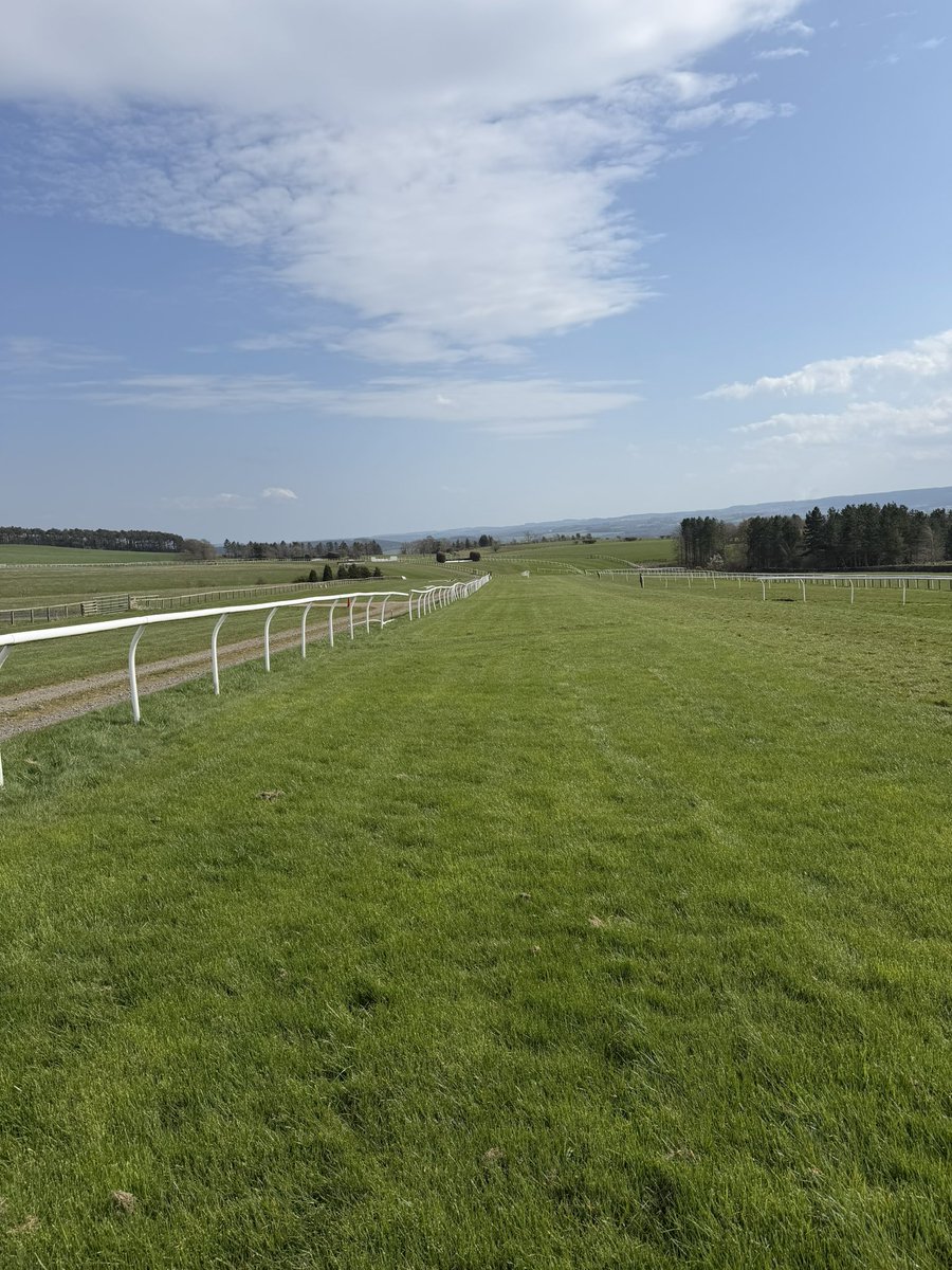 Hexham Racecourse tweet media