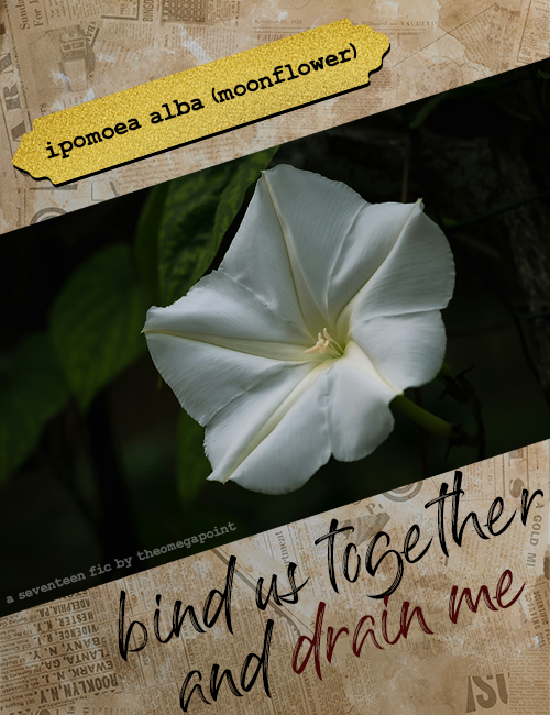 hungry like the wolf tweet media