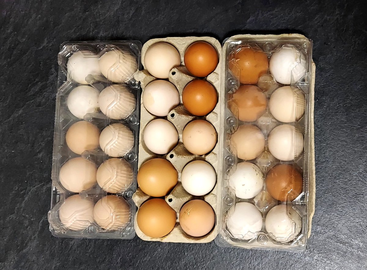 Римувач tweet media