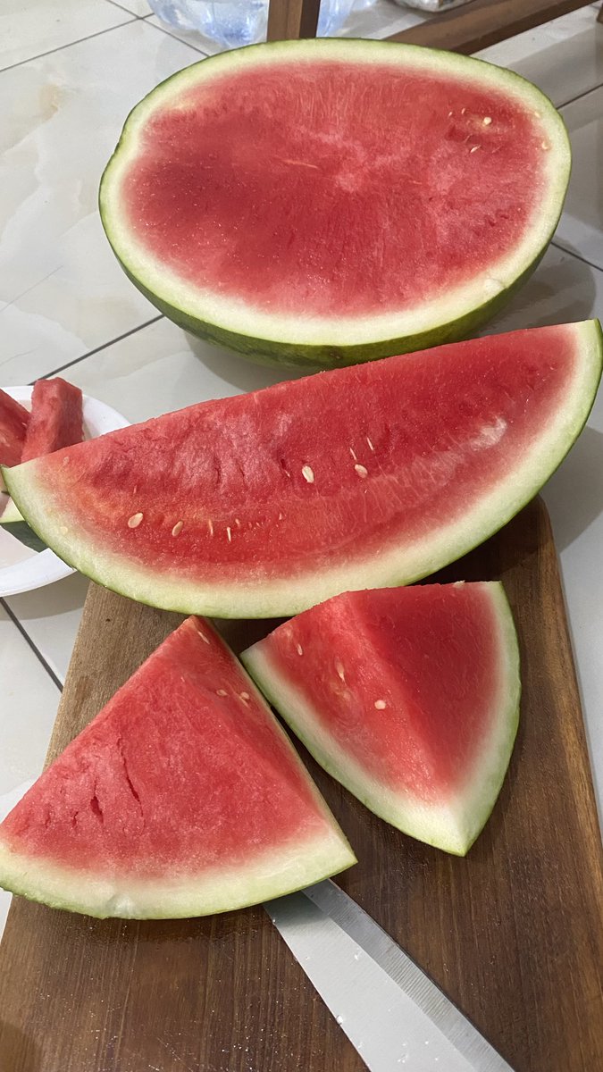 Han 🍉 tweet media