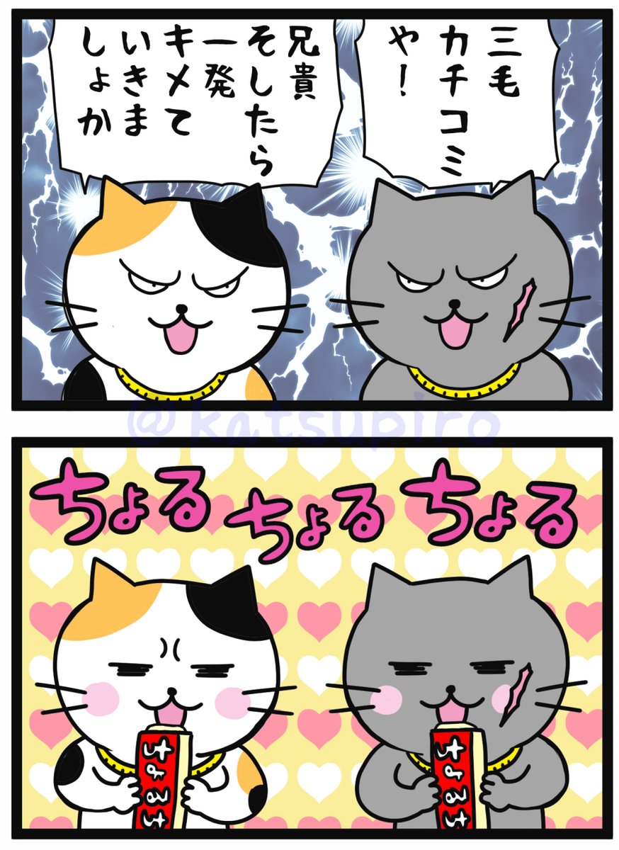 「仁義にゃきニャニャニャい」
#猫 