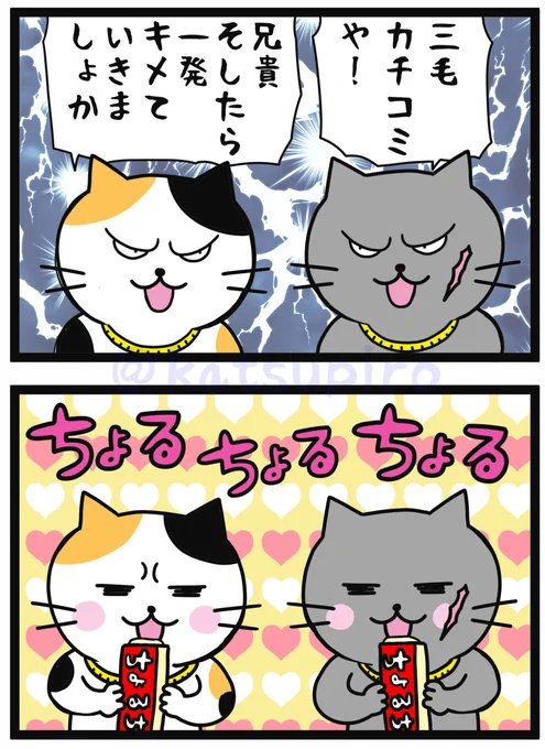 「仁義にゃきニャニャニャい」
#猫 