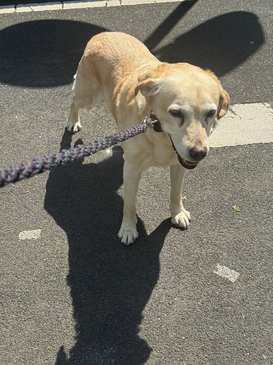 ジュピ tweet media
