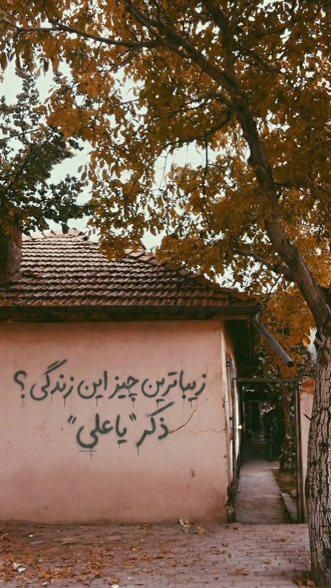 دایی جان ناپلئون🥷🏻 tweet media