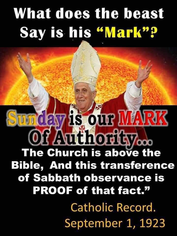 Robin Roese tweet media