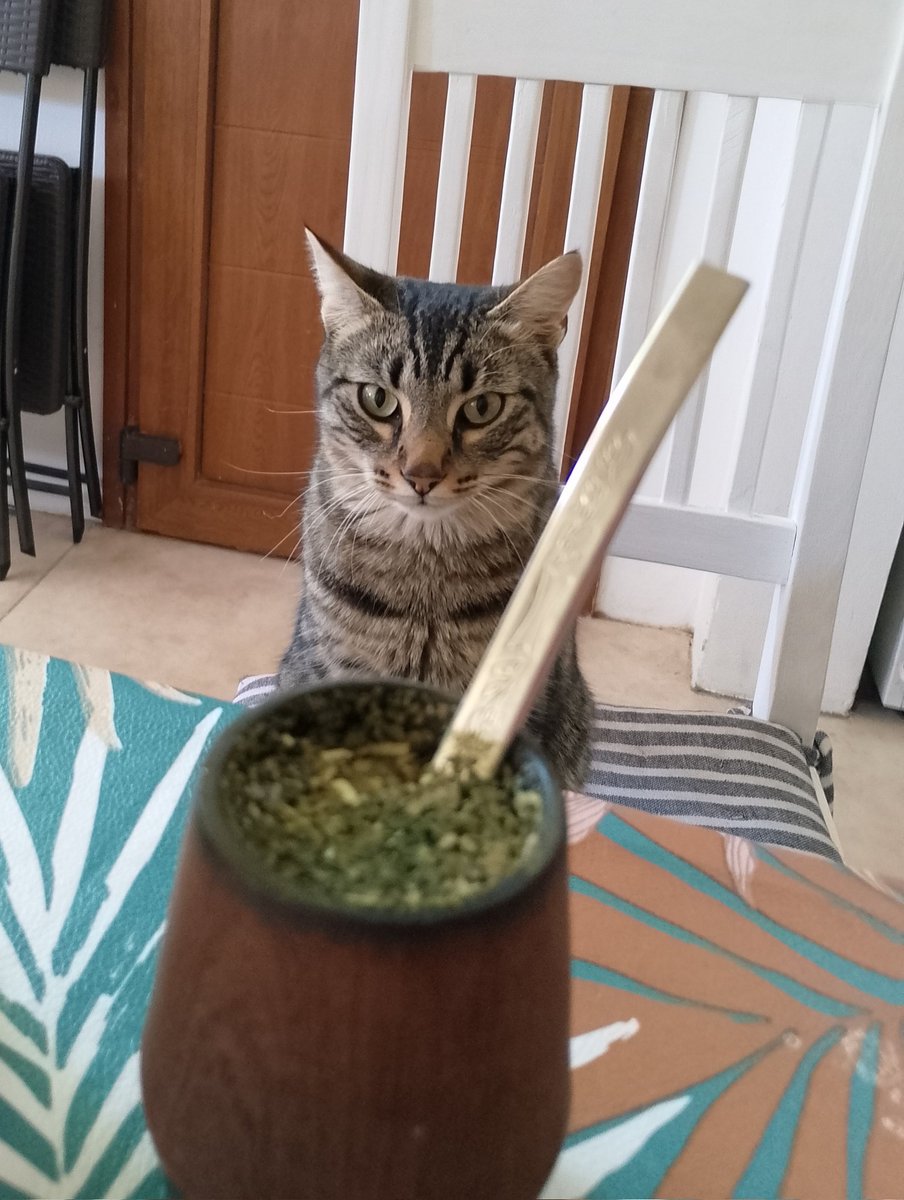 maimai(VOY A VER A BTS🇦🇷) tweet media