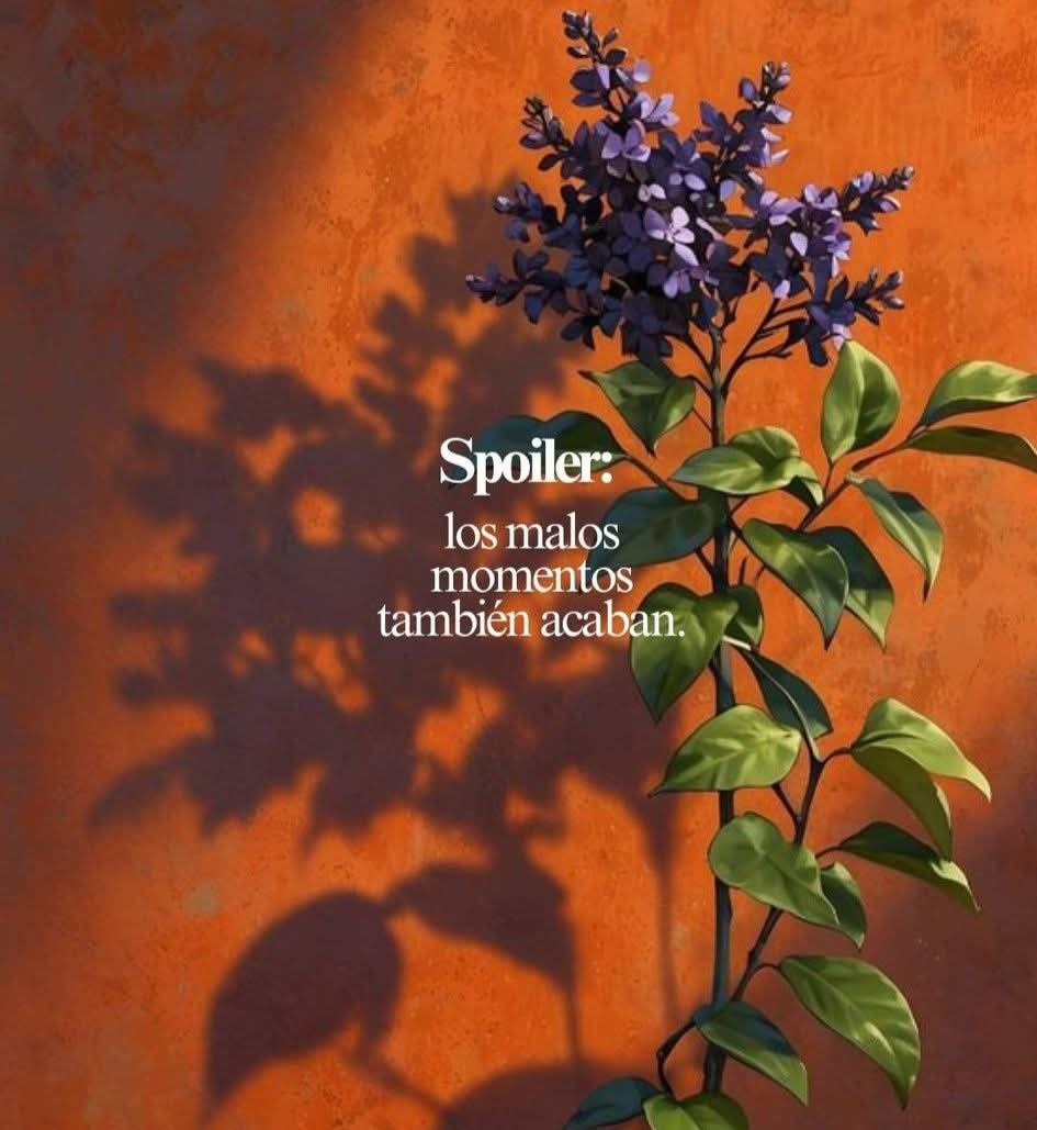 bauldefrases (@suspirxsalaire) on Twitter photo 