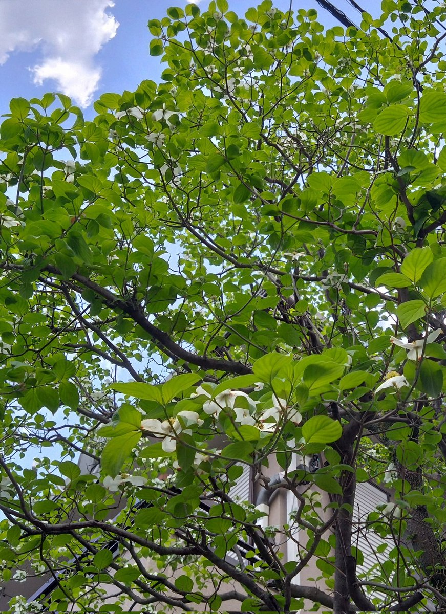 かねた🍀💕 tweet media