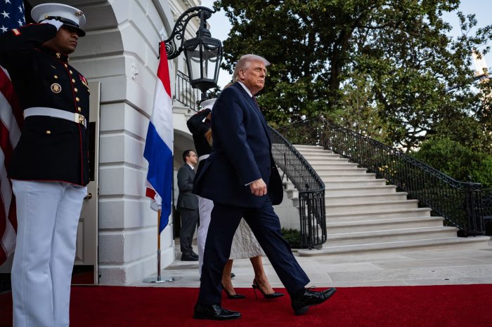 BREF_INFOS tweet media