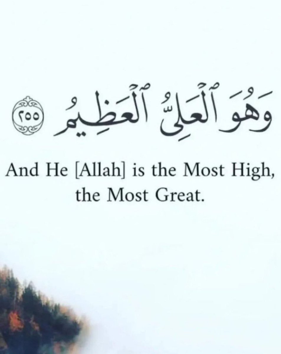 slimboy💥 tweet media