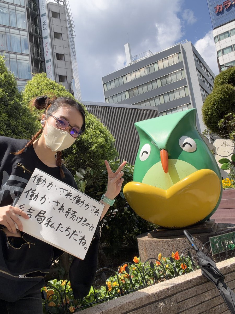 団地のネコ tweet media