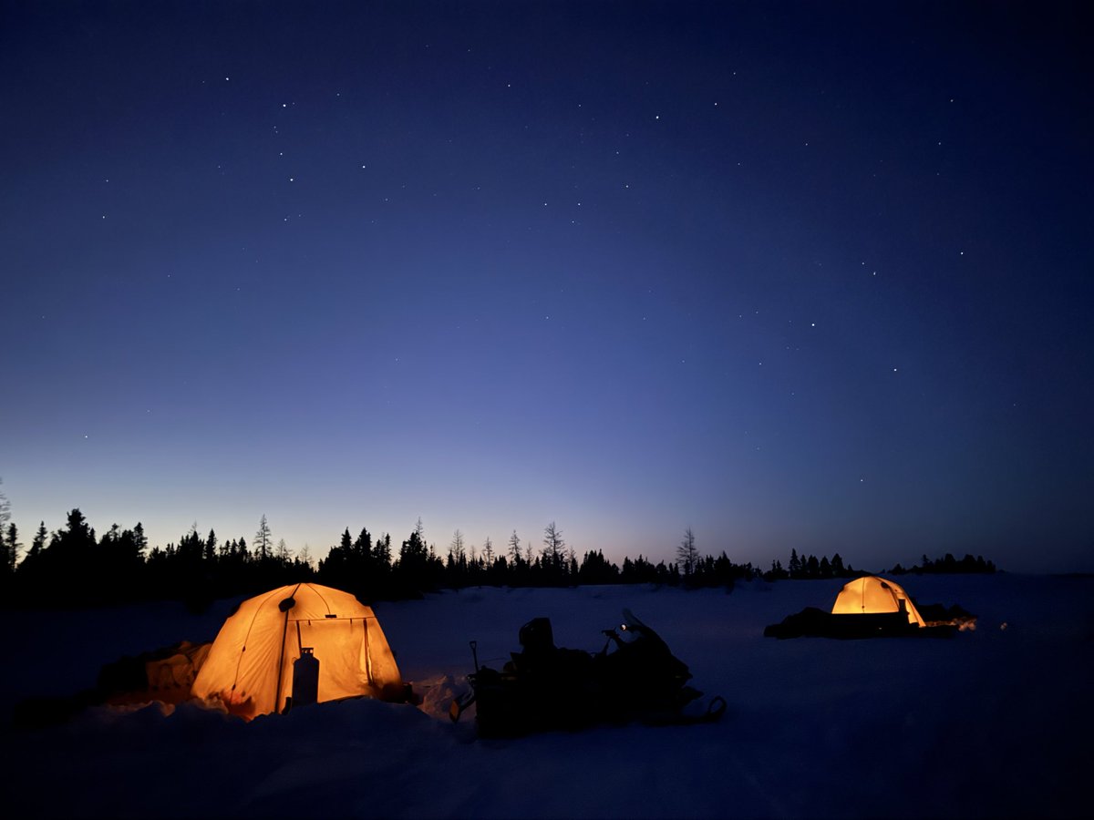 Tony Uluadluak tweet media