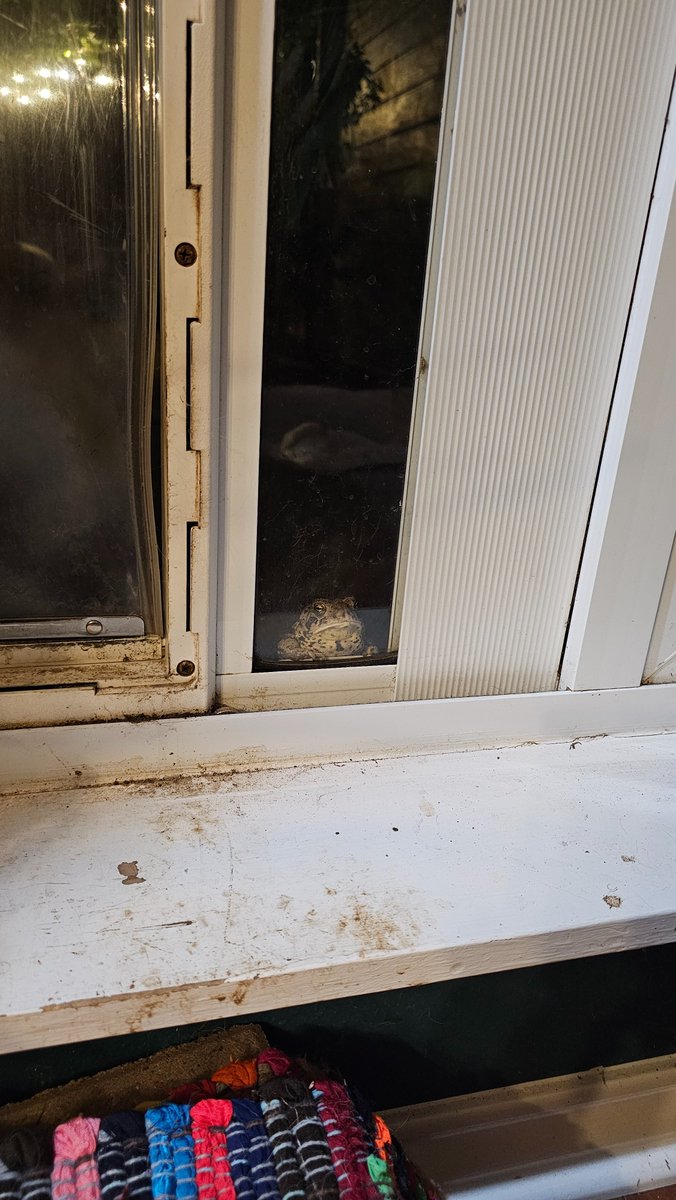 Bobby Duke 💨's tweet media