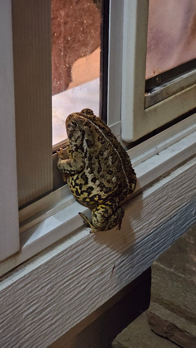 Bobby Duke 💨's tweet media