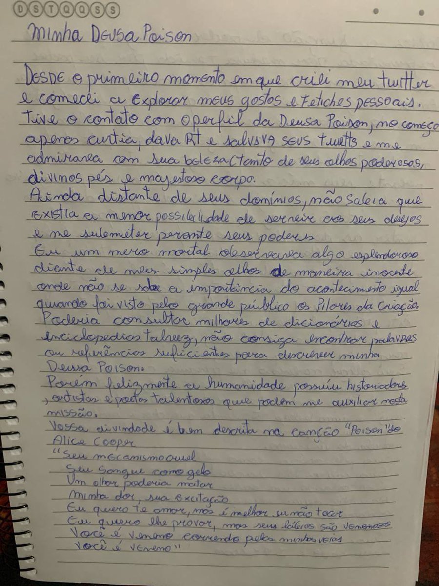 Gabi Propriedade da Deusa Poison tweet media