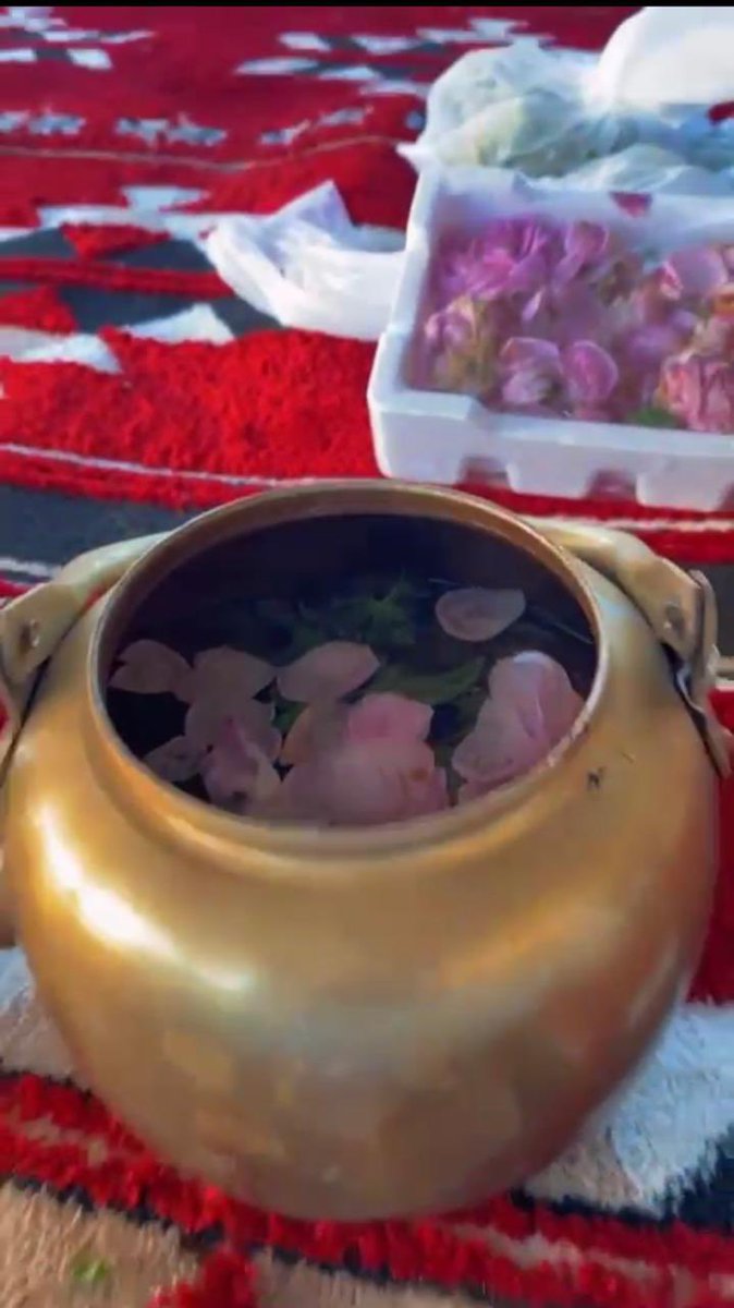 𝙀𝙣𝙖𝙨𓆩♐𓆪 tweet media