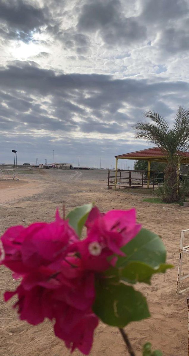 𝙀𝙣𝙖𝙨𓆩♐𓆪 tweet media