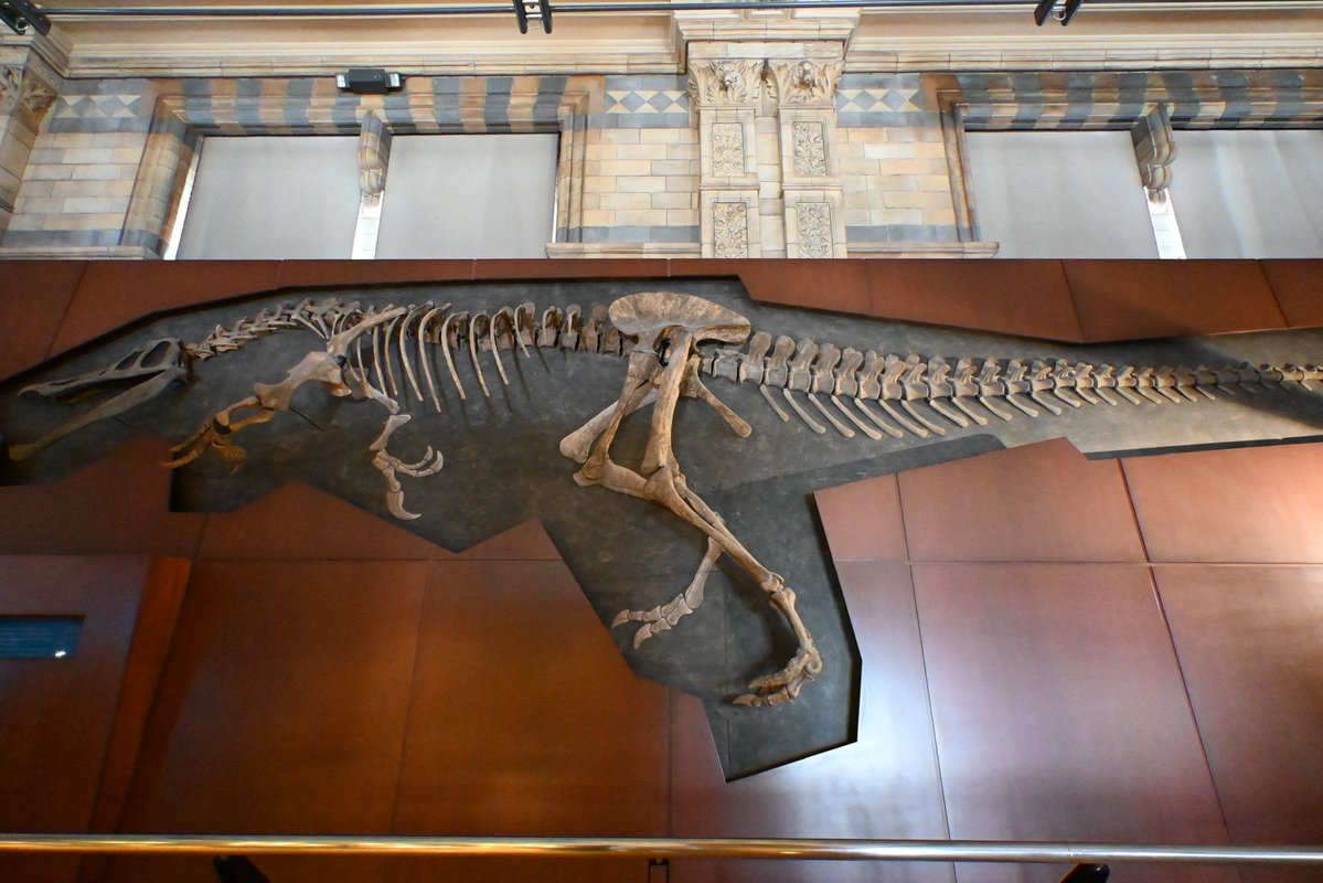 TOKYOMODELING@次回はWF2026s tweet media