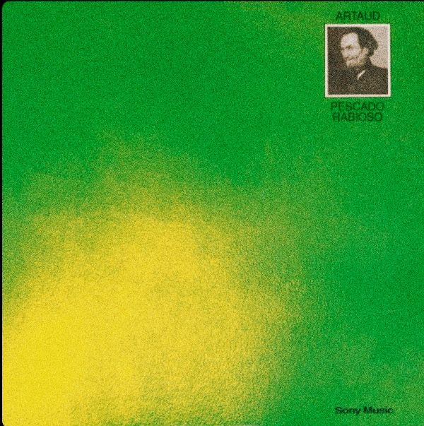 Titi 🖖🚩 tweet media