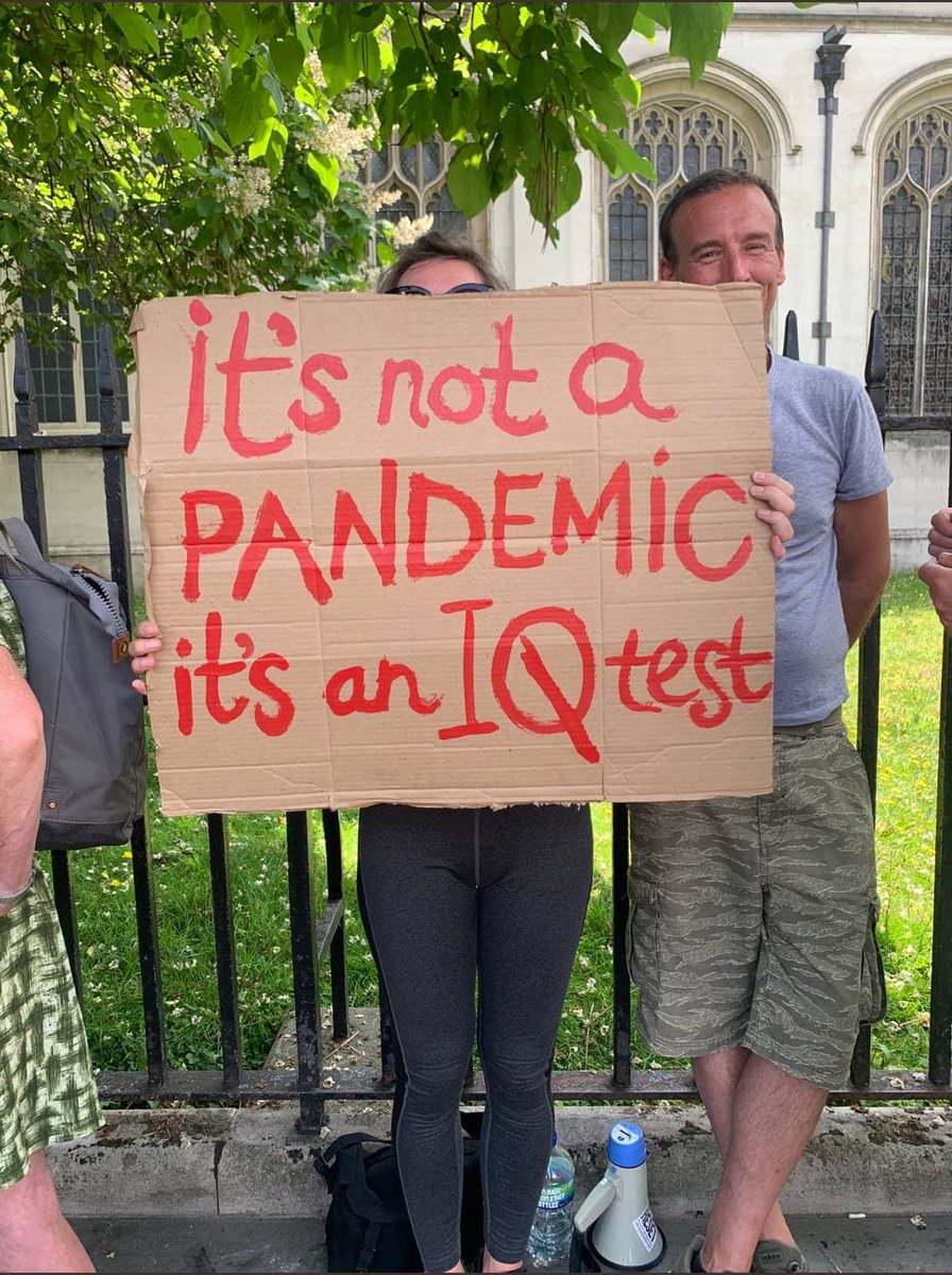 rabbitholebot tweet media