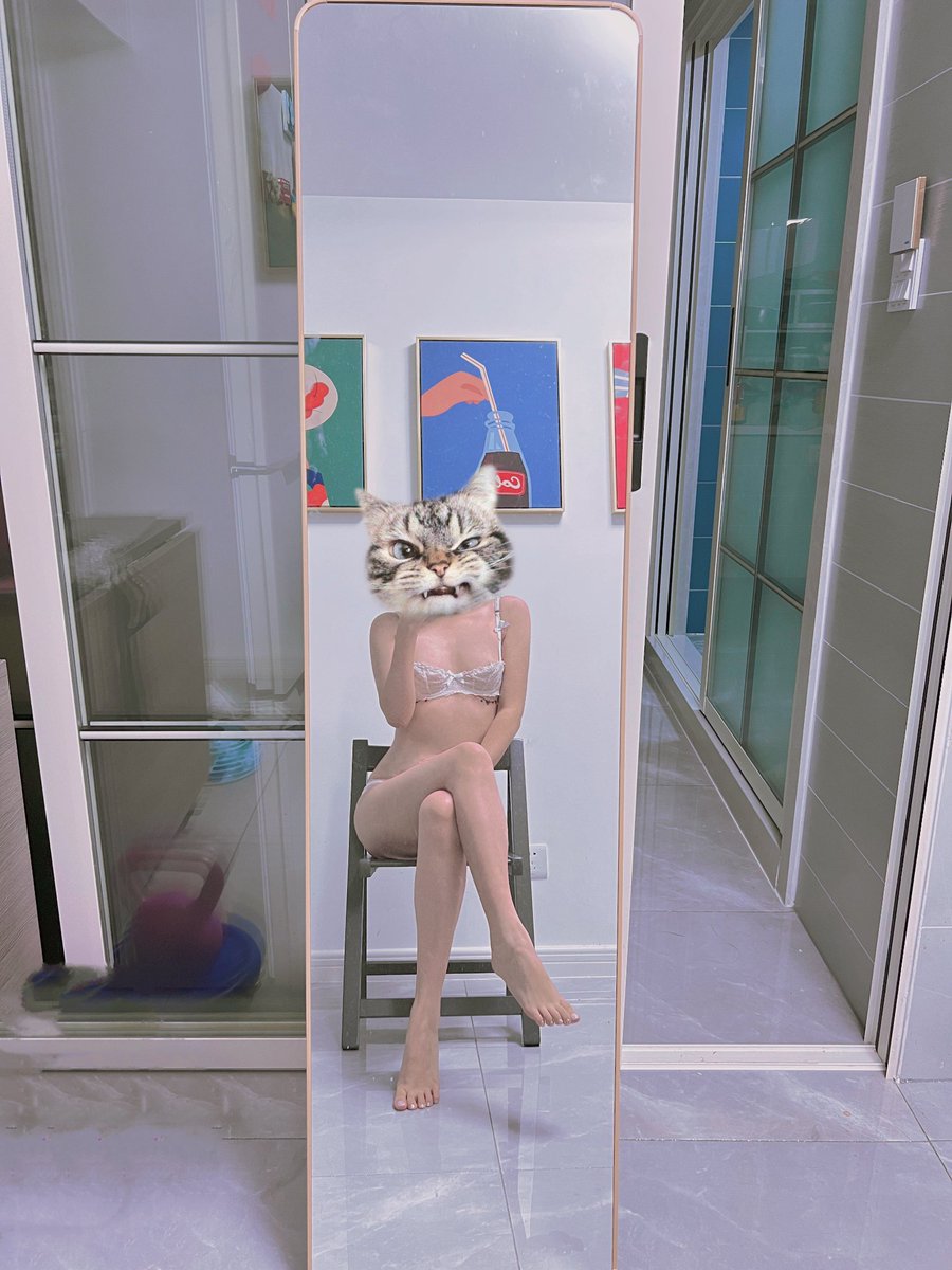 Sun.0411夫妻 tweet media