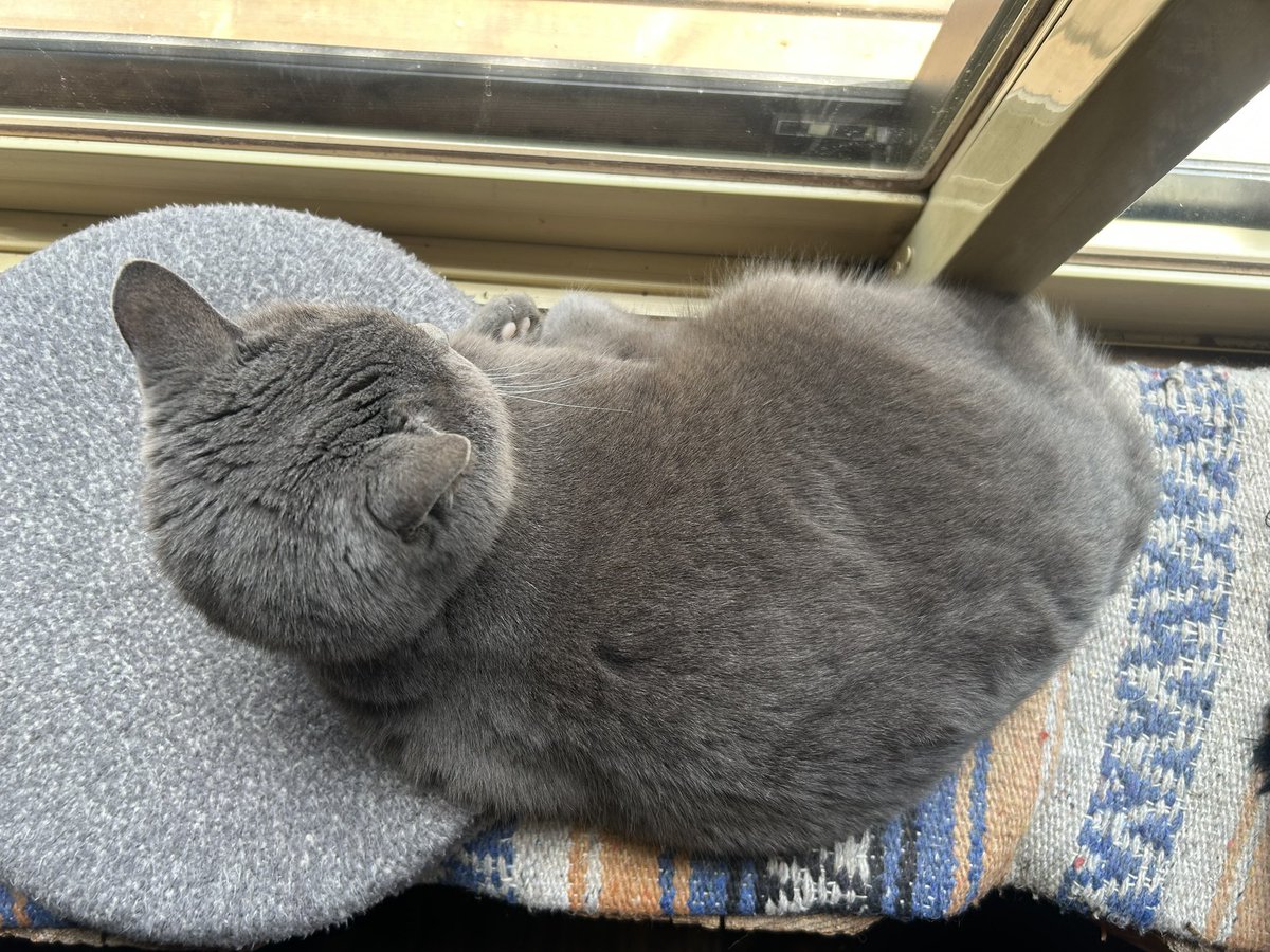 café pont chatポンシャ tweet media